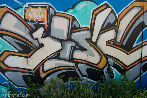 SLR (139 of 178)